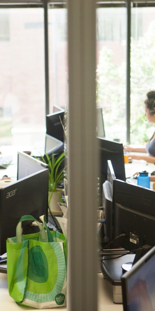 CampMinder Camp Management Software CampMinder The Summer Camp