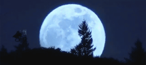CampMinder Full moon ET GIF.gif