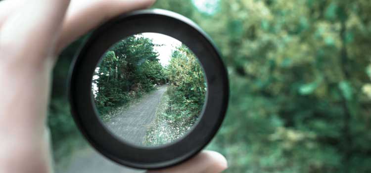 Person looking at nature through a magnifying glass