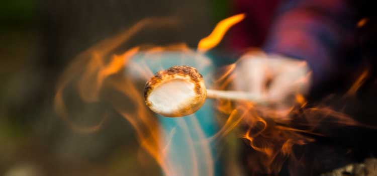 a marshmallow on a stick in a flame