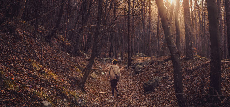 person walking in a forest