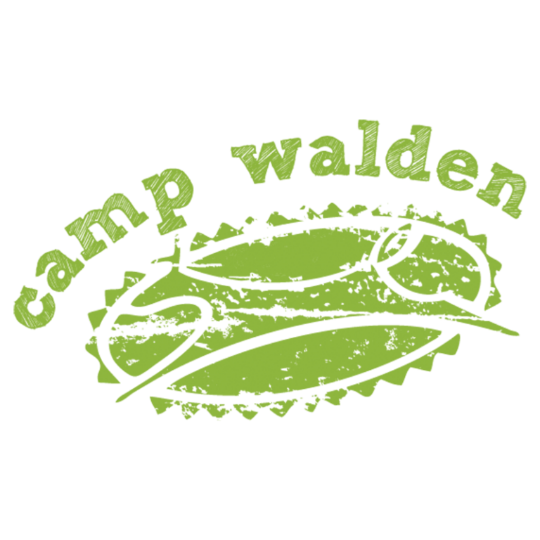 Campminder Features Elevate Your Camp Management